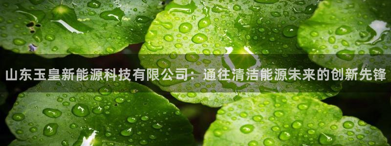 sunbet申搏官方网站