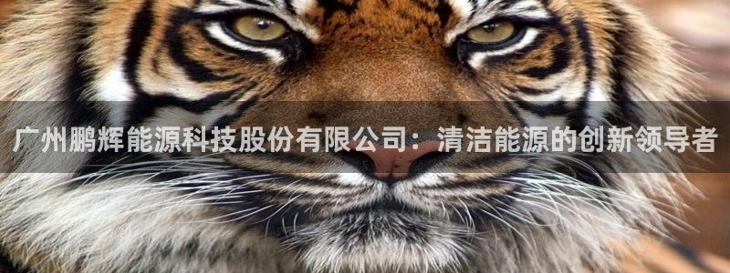 sunbet游戏