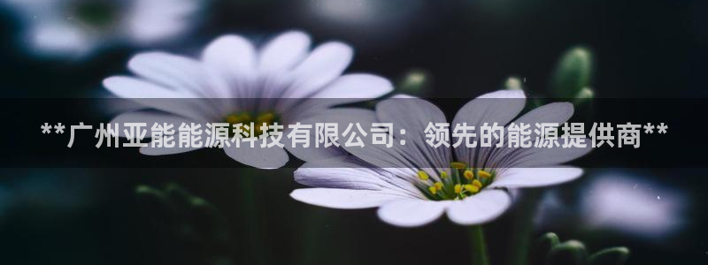 sunbet游戏