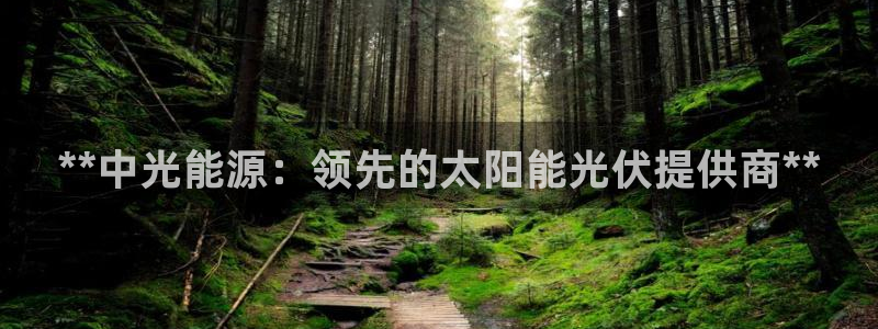 sunbet程序