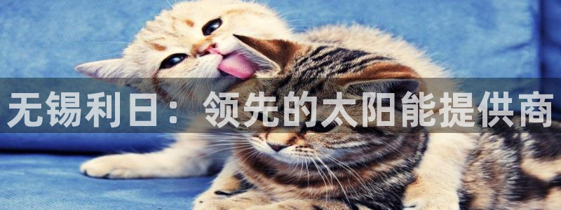sunbething怎么读
