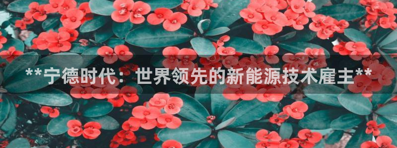 sunbet游戏网