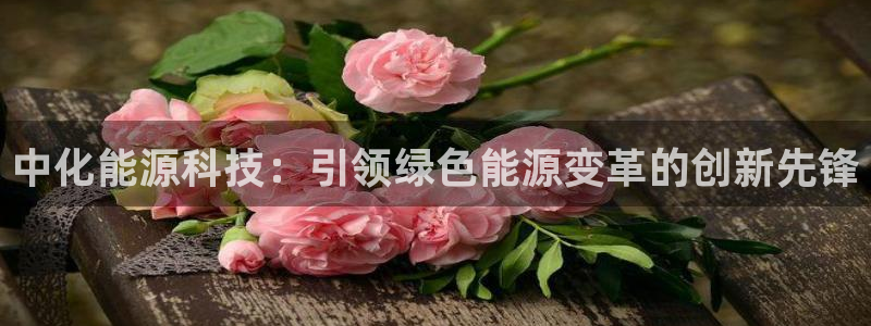 sunbet英语翻译