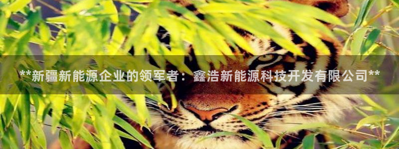 sunbet游戏最新版