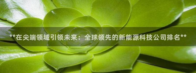 sunbet申搏平台