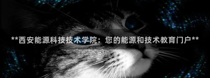 sunbet手机版官网下载