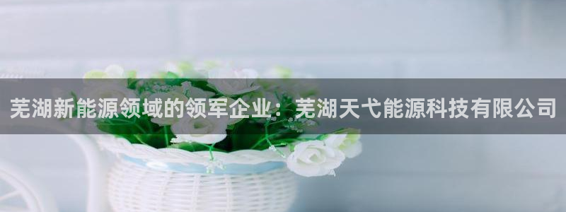 申博官网电脑版下载