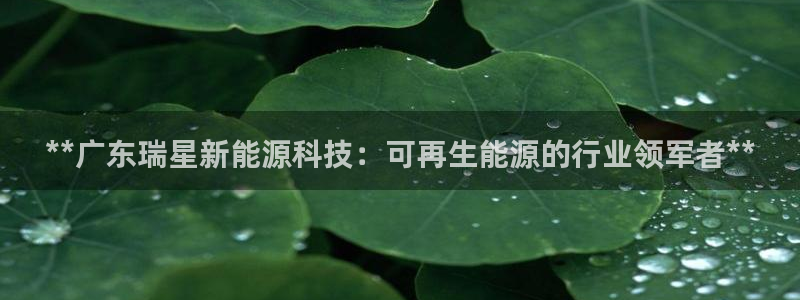 sunbet中国官网