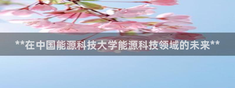 sunbet最新登陆