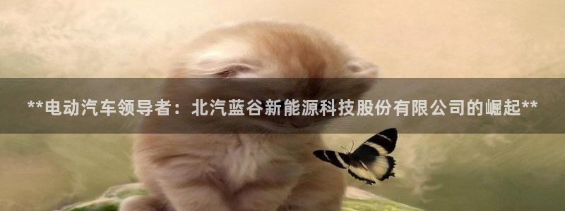 申慱sunbet版app