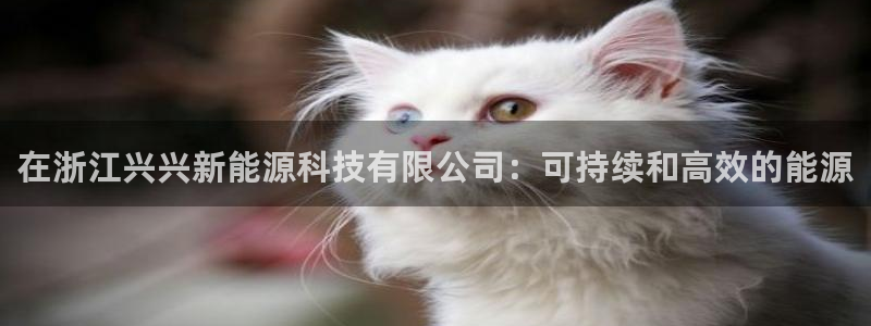 申博官方网站手机版下载