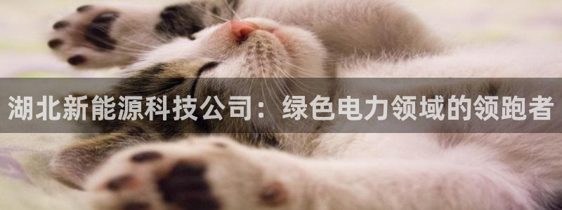 申博官网手机版下载app