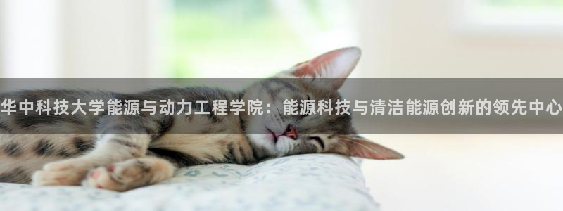 sunbet申搏app下载