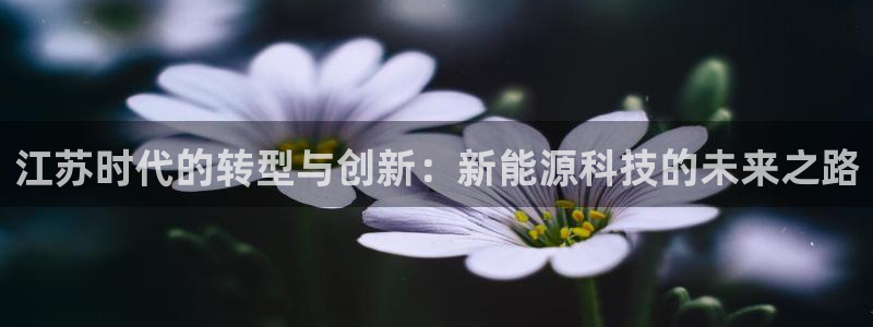 sunbet线上真人手机版