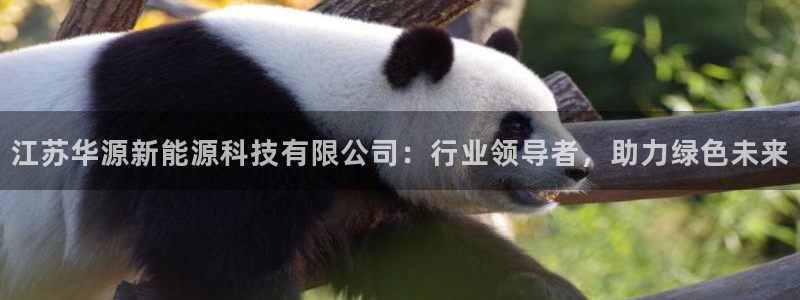 sunbet游戏最新版