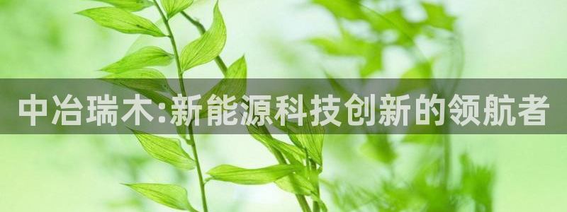 sunbet英语翻译