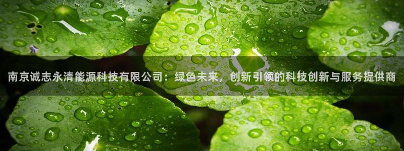 申慱sunbet版app