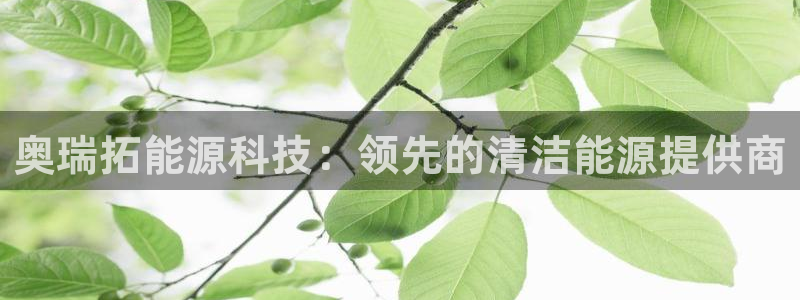 sunbet源码