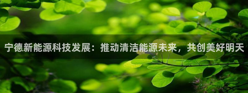 申博官网电脑版下载
