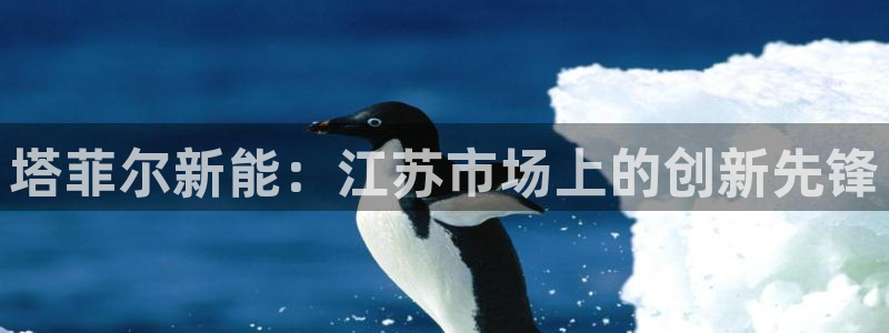 sunbet中国官网
