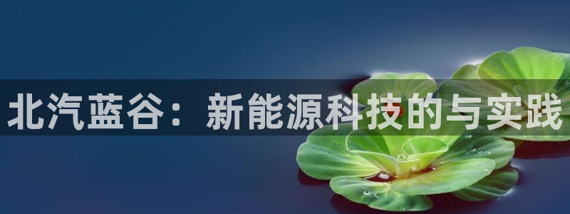 sunbet源码