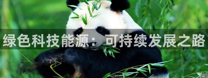 sunbet中国官网