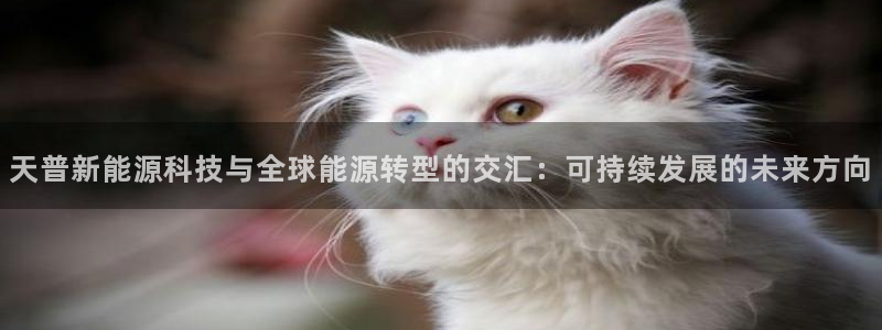 sunbet中文