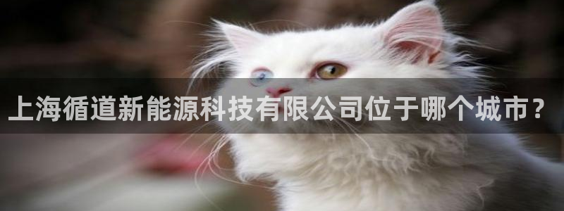sunbet申搏平台