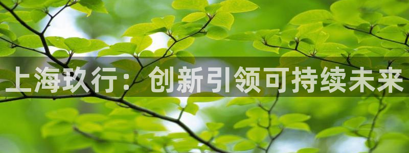 sunbet首页登录入口
