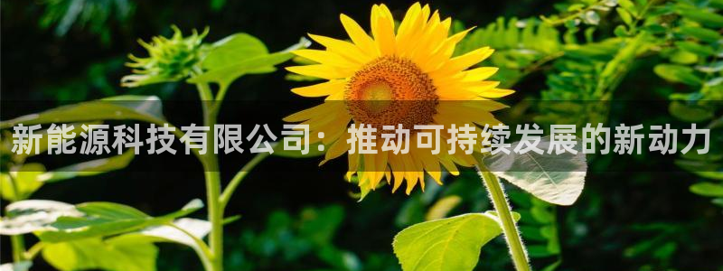 sunbet官网welcome