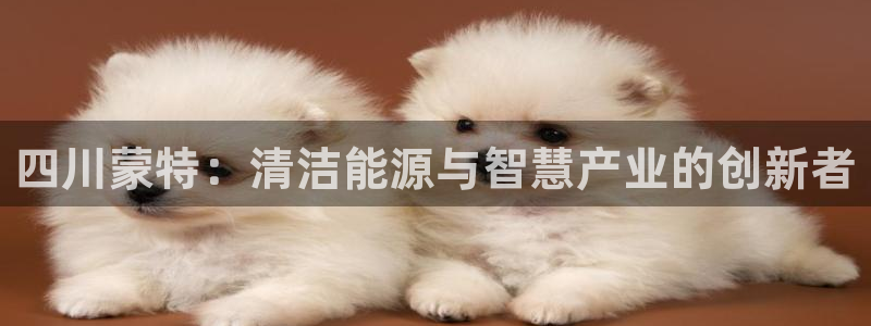 sunbet手机app版