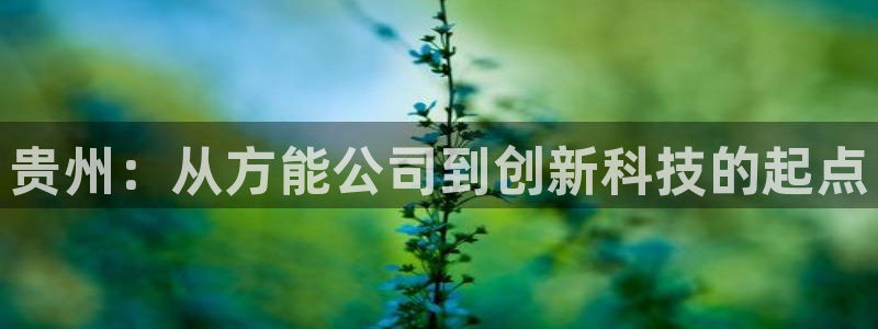 申博官网手机客户端