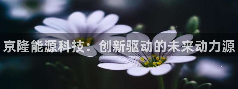 sunbet手机端