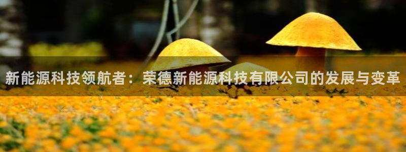 申博手机版官网