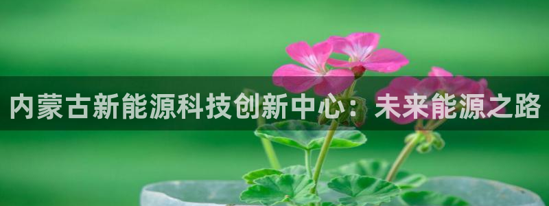 申博官网手机客户端