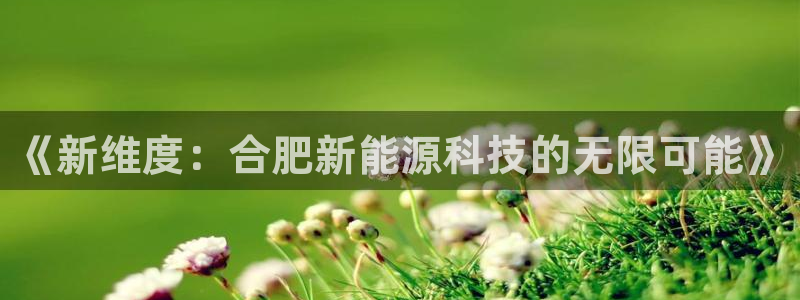 申博官网电脑版下载