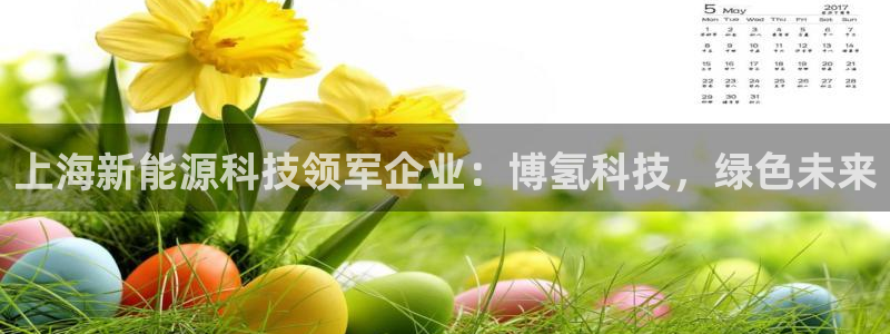 sunbet燃气灶