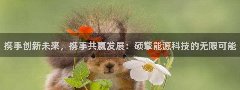 sunbet燃气灶