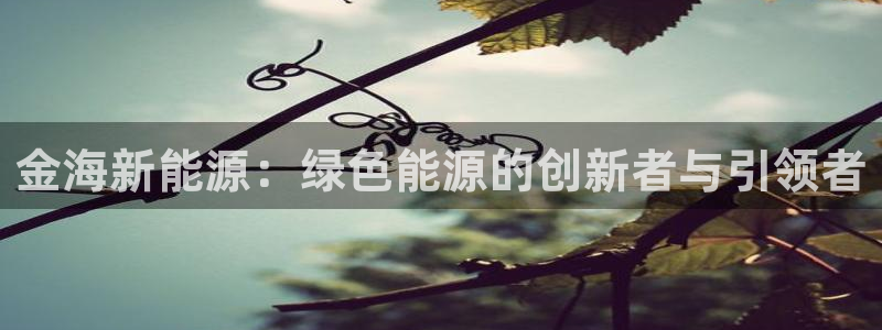 sunbet安卓下载