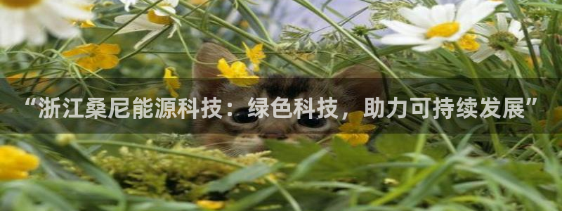 申慱sunbet手机版登