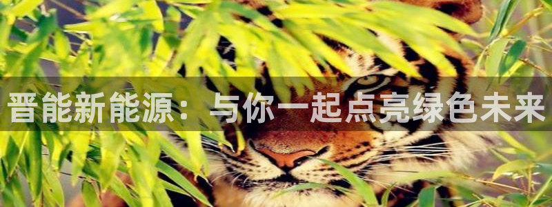 下载申搏sunbet并安装app
