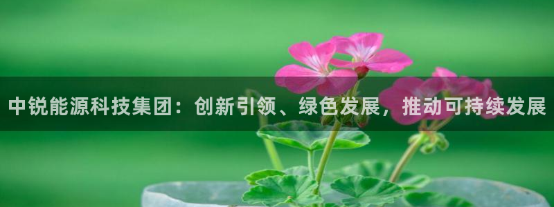 sunbet中国官网