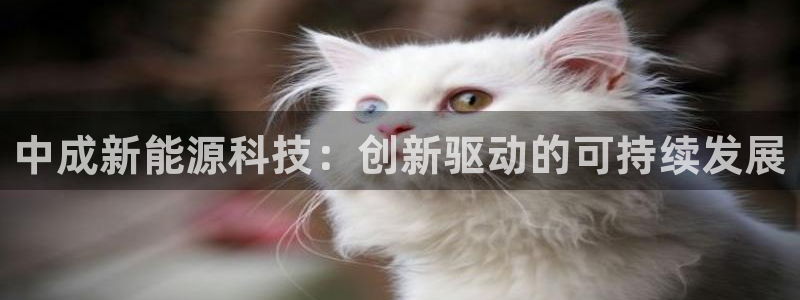 sunbet手机端