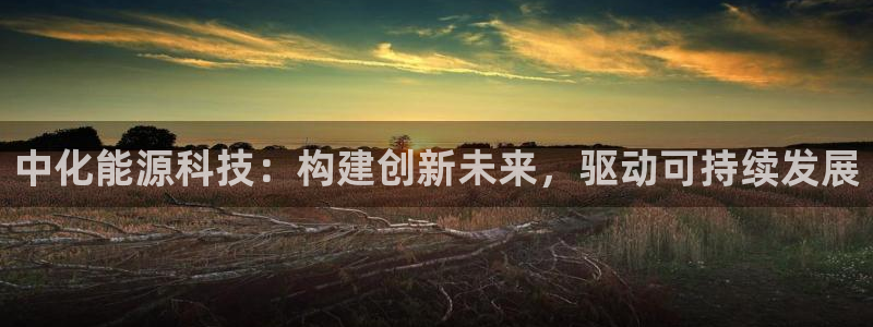 sunbet手机网页版本