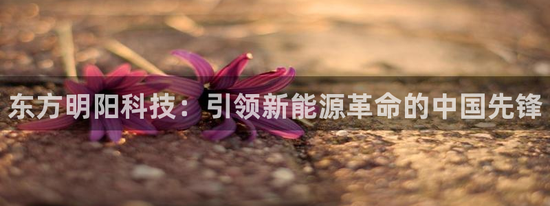 sunbet官网手机版